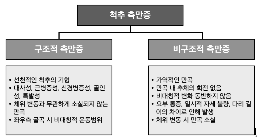 척추측만증의 구분